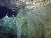 Underwater view of limestone stalactites in the Chandelier Cave in Palau.