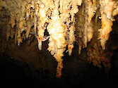 Limestone crystals of the stalactites in the Chandelier Cave in Palau