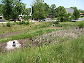This rain garden at the US Navy-Marine Corps stadium in Annapolis filters and absorbs stormwater before it reaches Weems Creek, a tributary of the Severn River and Chesapeake Bay. Farragut Road is in the background.