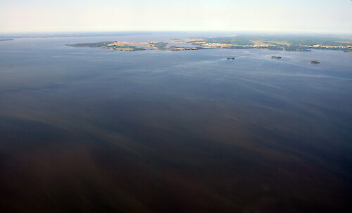 The Susquehanna Flats in the upper Chesapeake Bay at the mouth of the Susquehanna River. The Flats are an important habitat for underwater grasses (SAV). In the background is the Aberdeen Proving Ground Military Reservation