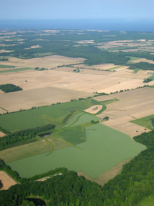 Farming on DelMarVa/Eastern Shore, MD. Showing patchwork of crops (corn, soybean, etc.)