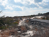 This road was constructed as part of a residential development project in what is now Assateague Island National Seashore. However, a strong storm in 1962 damaged the road and ended the project before any homes were built. 