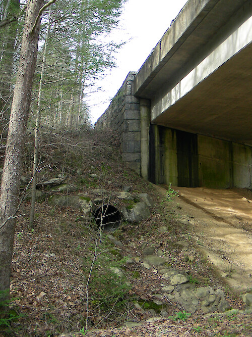 runoff pipe directed into culvert which empties into national park creek