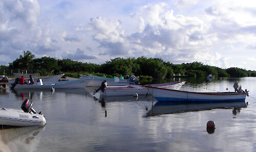 conch fishermen moor their boats in Codrington Lagoon on the Caribbean island of Barbuda 