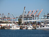 Fishing boats with cargo cranes in the background. 