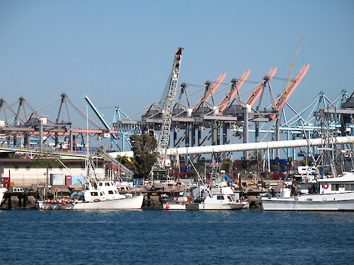 Fishing boats with cargo cranes in the background. 