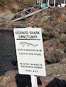 Leopard shark sanctuary sign posted at the University of Southern California Wrigley Marine Science Center. 