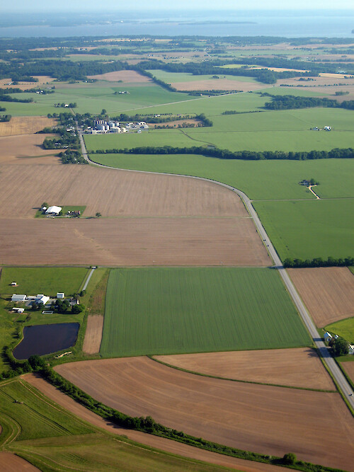 Patchwork of fields along the Eastern Shore of the Chesapeake Bay.
