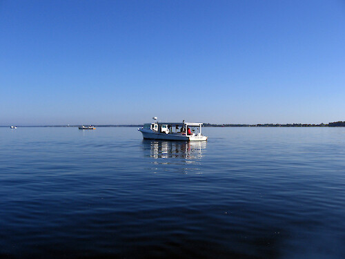 Commercial oyster harvesting boats in the Eastern Bay, Chesapeake Bay.
