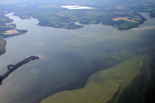 Mattawoman Creek on the eastern shore of Virginia, with shoals and seagrass visible