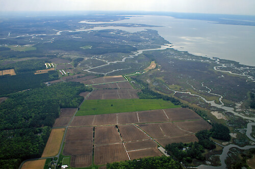 Agriculture adjacent to the Pocomoke Sound Wildlife Management Area on the eastern shore of Maryland