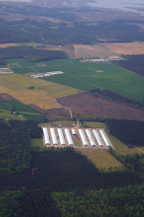 Poultry houses in Somerset County on the Eastern Shore