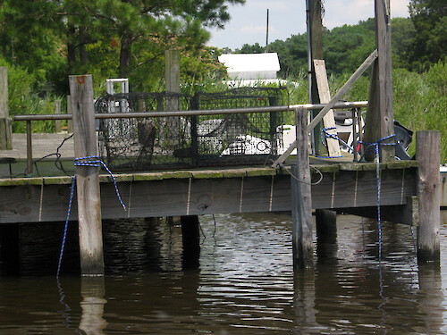 A walkway through the salt marsh connects this dock on Little Monie Creek to the poultry farm in the background. 