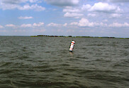 Large buoys like these mark the boundaries of Oyster Sanctuaries for restoration of the native species in Chesapeake Bay.