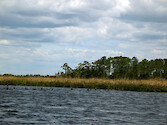 Monie Creek wends along, emptying into Monie Bay. Much of its length is surrounded by Spartina marsh and forest, along its flat topography. Pilings from an old dock can be seen across from a shallow boat launch.