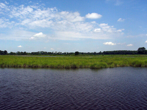 Monie Creek empties into the Monie Bay component of the Chesapeake Bay, MD National Estuarine Research Reserve