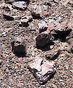 Chips of petrified wood at the Petrified Forest National Park.