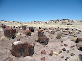 View of Great Logs trail in the Petrified Forest National Park