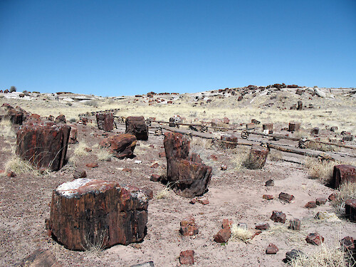 View of Great Logs trail in the Petrified Forest National Park