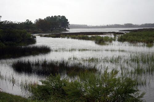 Submerged tidal marsh due to storm surge.