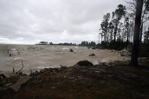Coastal erosion on Taylors Island.