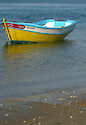 traditional fishing boat at low tide in Ria Formosa