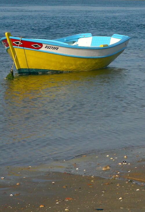 traditional fishing boat at low tide in Ria Formosa