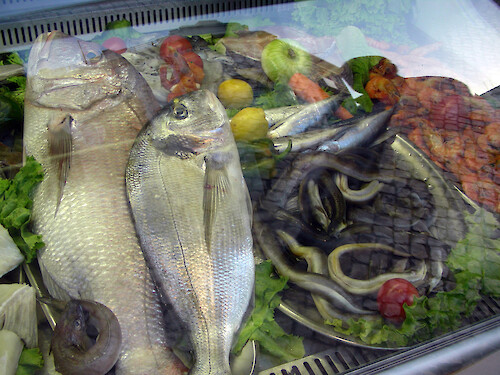 Locally caught fish, including sardines, and eels in a seafood market window in Faro.