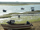 local man digs for clams at low tide in Ria Formosa