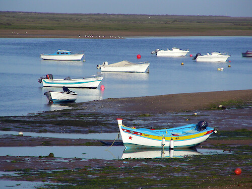 modern and traditional fishing boats at low tide in Ria Formosa