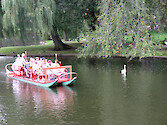 Passengers on the swan boats in the Public Gardens of Boston.
