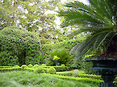 The Garden District of New Orleans is famous for household gardens in courtyards such as this one.