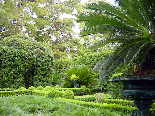 The Garden District of New Orleans is famous for household gardens in courtyards such as this one.