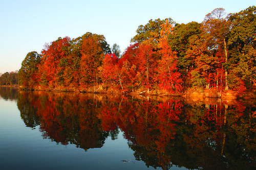 Reflected fall colors on North Fork of Tred Avon River, near Easton MD.