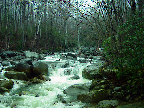 Streamflow was high during March in the Great Smoky Mountains National Park en route to Ramsey Cascades