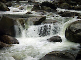 Heavy flow in a rocky stream
