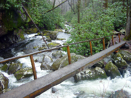 This wooden bridge is one of the stream crossings along the trail to Ramsey Cascades in Great Smoky Mountains National Park