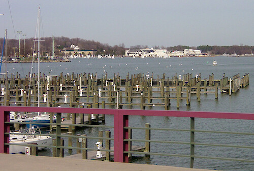 Marina in Annapolis at the City Harbour taken from the drawbridge connecting City Dock with Eastport, on Compromise St. Naval Academy can be seen in the background.