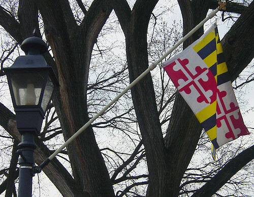 Maryland's state flag hangs prominently in numerous locations around State Circle in Annapolis. This area of the historic district is also lit by gas-style lamp-posts.