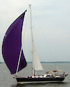 Sailboat on the Chesapeake