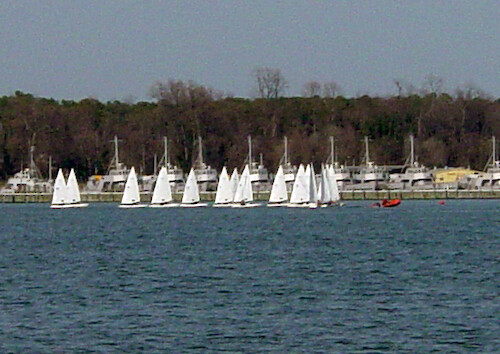 Sailboats fill the City Harbour in Annapolis