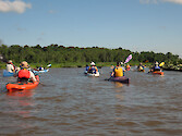 Paddlers on the upper Patuxent River during the annual Patuxent Sojourn paddle.