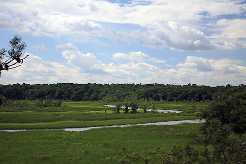 View over the upper Patuxent River from the observation tower at Merkle Wildlife Sanctuary. This stretch was paddled during the last day of the 4-day Patuxent Sojourn paddle.