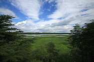 View over the upper Patuxent River from the observation tower at Merkle Wildlife Sanctuary. This stretch was paddled during the last day of the 4-day Patuxent Sojourn paddle.