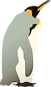 Illustration of Aptenodytes forsteri (Emperor Penguin)