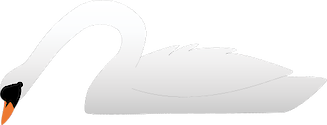 Illustration of Cygnus olor (Mute Swan) 3