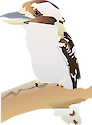 Illustration of Dacelo novaeguineae (Laughing Kookaburra)