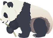 Illustration of Ailuropoda melanoleuca (Panda)