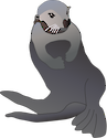 Illustration of Enhydra lutris (Sea Otter)