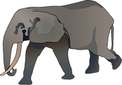 Illustration of Loxodonta spp. (African Elephant)